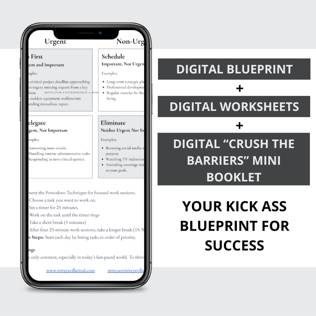 Your Kick Ass Blueprint for Success:  20 Essential Focus Points with Printable Worksheets and Free Mini Booklet (