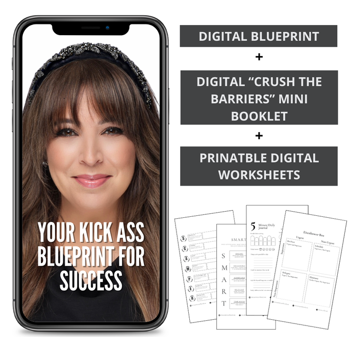Your Kick Ass Blueprint for Success:  20 Essential Focus Points with Printable Worksheets and Free Mini Booklet (