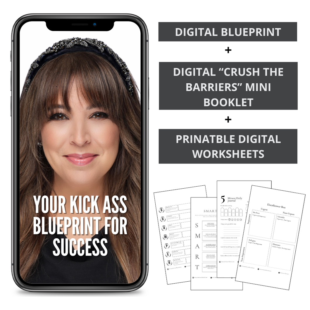 Your Kick Ass Blueprint for Success:  20 Essential Focus Points with Printable Worksheets and Free Mini Booklet (