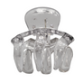 Gleaming Crane Clawed Hair Clip (Glossy Clear)