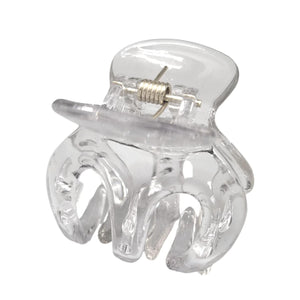 Gleaming Crane Clawed Hair Clip (Glossy Clear)