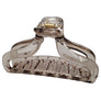 Translucent Clawed Hair Clip - 4 Pack