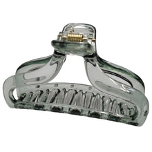 Translucent Clawed Hair Clip - 4 Pack